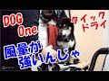 【柴犬】業務用ペットドライヤーが凄かった。