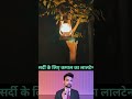 Amazing Lantern for winters 🥶  #trending #shortvideos #shortsviral #tools #machine #gadgets
