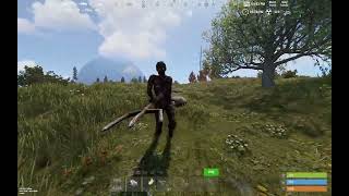 Testing custom Scarecrow Wrangler plugin for Rust