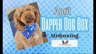 Awesome April Dapper Dog Box Unboxing!