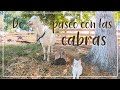 De paseo con las cabras 🐐  ENTRE MÉXICO Y UCRANIA 🌴