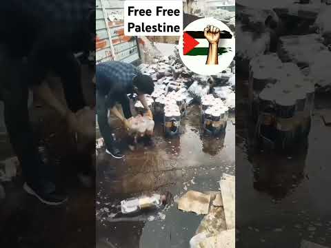 Free Free Palestine Free Free Palestine Palestine Zindabad Israe Murdabad New Video For Palestine 