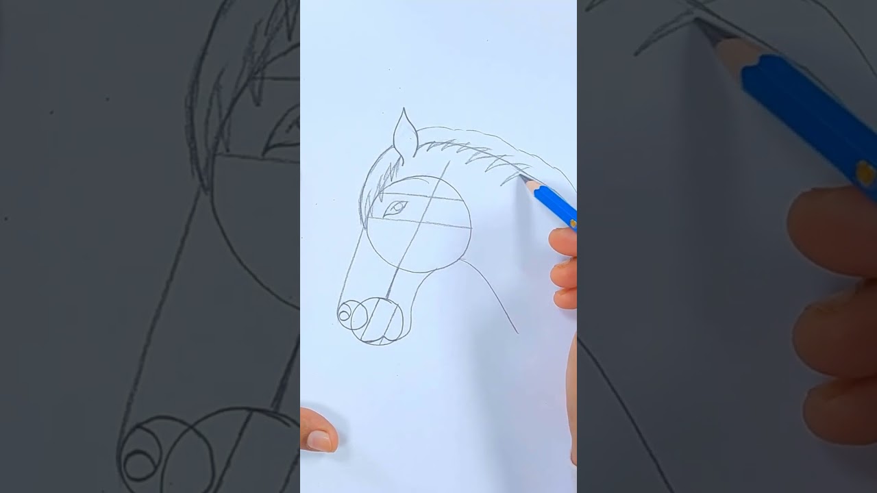 How To Draw A Horse Head ( Step By Step )