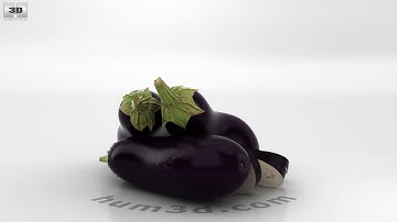 Eggplant 3D model by 3DModels.org