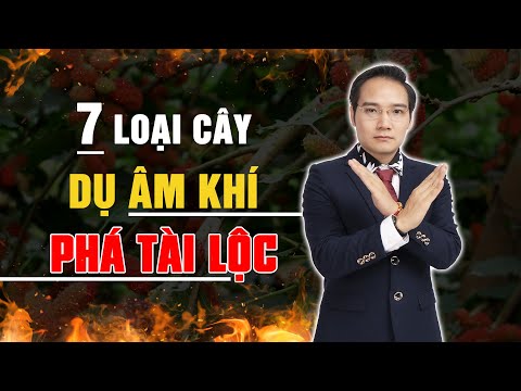 Video: Cây Phương Đông Là Gì - Mẹo Trồng Cây Phương Đông