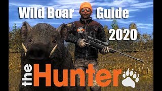 theHunter Classic - Wild Boar Guide 2020 screenshot 4