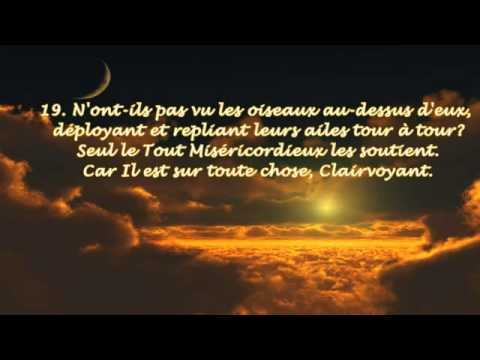 Sourate 67 AL MULK LA ROYAUTE Recitateur Maher Al Mueaqly YouTube