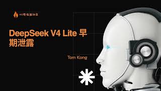 【AI最前沿95】DeepSeek V4 Lite 早期泄露