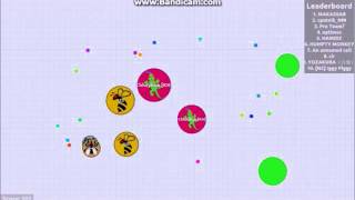 Ribbon Fever Plays: Agar.io