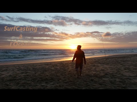 QUAND l'ocean est GENEREUX avec MOI (Surfcasting)