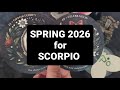 What Might Spring 2026 Bring To Scorpio