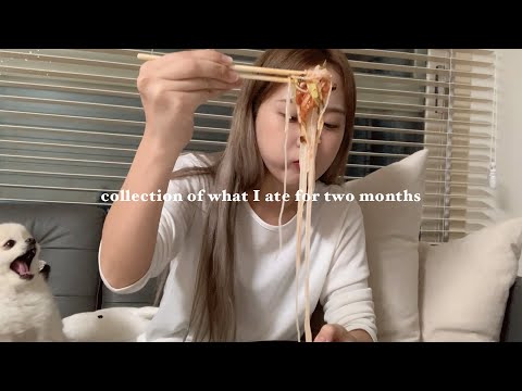 <strong>ENG</strong>) 이제 1시간은 길게도 안 느껴지죠..? 2달동안 먹은것들 모음🍲 Collection of <strong>what</strong> I ate for two months