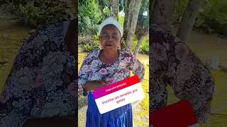 Gases remédio caseiro #shots