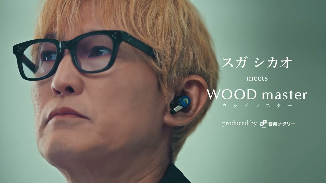 WOOD master | ヘッドホン・イヤホン | Victor