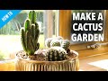 How to make a Cactus Garden