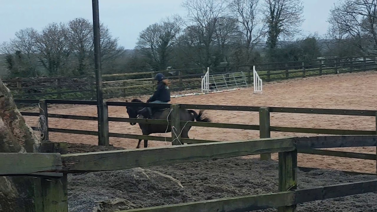 Imps gallop side saddle prep