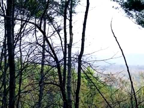 16 Raven Ridge, Mineral Bluff, GA home video tour