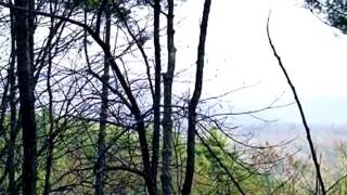 16 Raven Ridge video tour