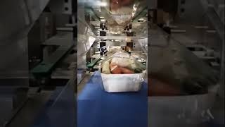 Barsch Flowpack Suppengemüse Folie Von Oben