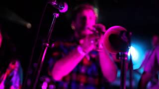The Kelburn Garden Party - Official Video