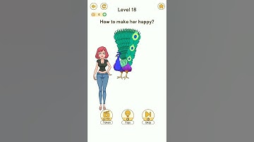 Brain Go 2 Level 18 How to make her happy.