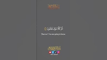 سورة التكاثر (الهاكم التكاثر )|| عبد الشكور الهلال