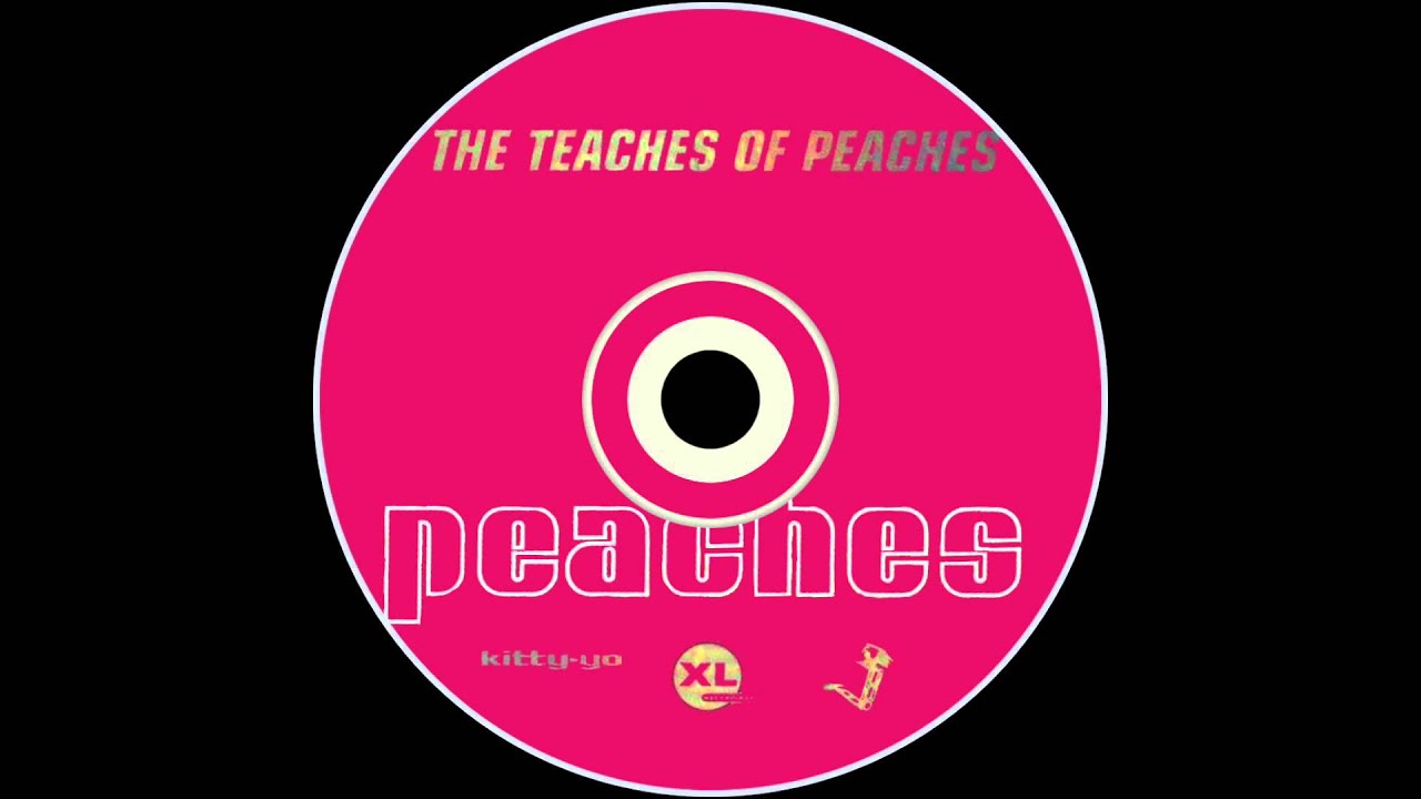 20 Years Ago, 'The Teaches Of Peaches' Shifted The Window For Sex In Pop :  NPR