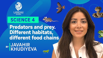 Science - Predators and prey. Different habitats, different food chains