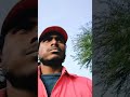 Block video