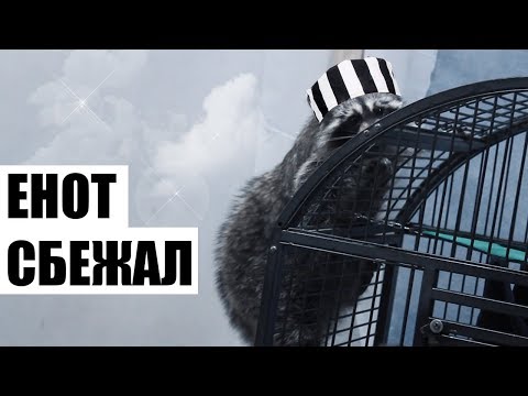ЕНОТ СБЕЖАЛ ИЗ