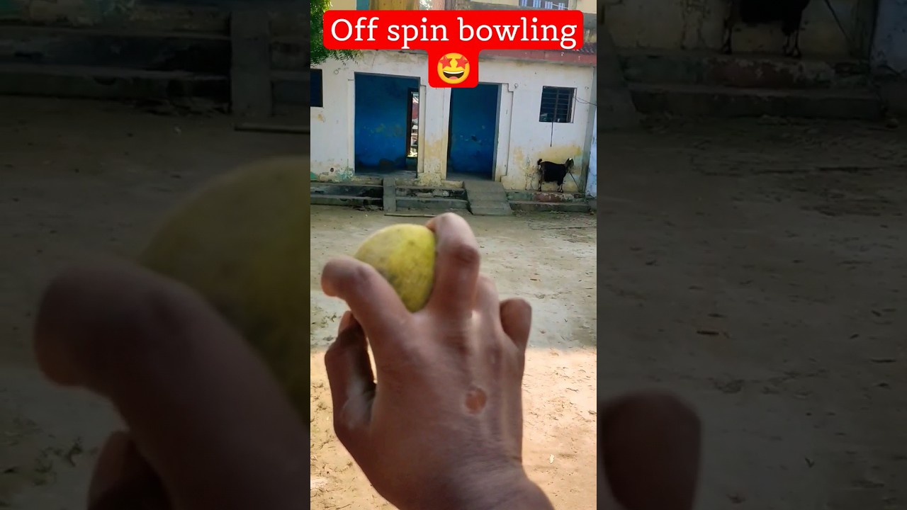 canvas ball off spin bowling trick technique🤩🥰