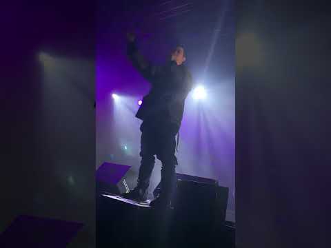 熊仔 - 88BARS