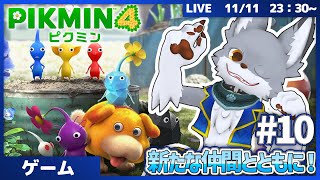 新たな仲間とともに！　 #10【ピクミン4】