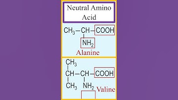 Thumbnail of Definition and examples of neutral amino acids. #chemistry