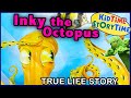 Inky the Octopus  🐙 Amazing TRUE Story Read Aloud!