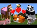 What is the Cutest Mob in Minecraft?