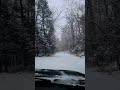 ну снег ❄️ же #russia #зима #letitsnow #природа #владивосток #горы #снегкружится