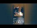 Jellyous ILLIT Acapella 