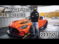 800PS AMG GT Black Series | Es wird laut!! | DYNO RUN + SOUND | GERCollector