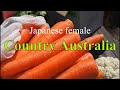 【地元野菜開封動画!】 Unboxing fresh food box/ Country lifestyle/ Western Australia