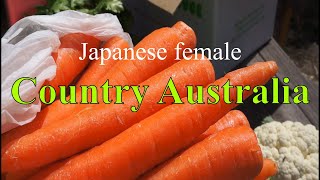 【地元野菜開封動画!】 Unboxing fresh food box/ Country lifestyle/ Western Australia
