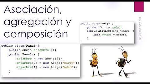 Programación en Java: Relación entre clases en Java (asociación, agregación y composición)