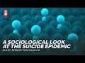 Suicide Rates and Insights from Medical Sociology - Healthcare Triage