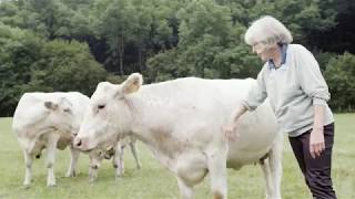 Meet Rosamund Young, author of The Secret Life of Cows