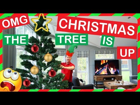 putting-our-christmas-tree-up-early