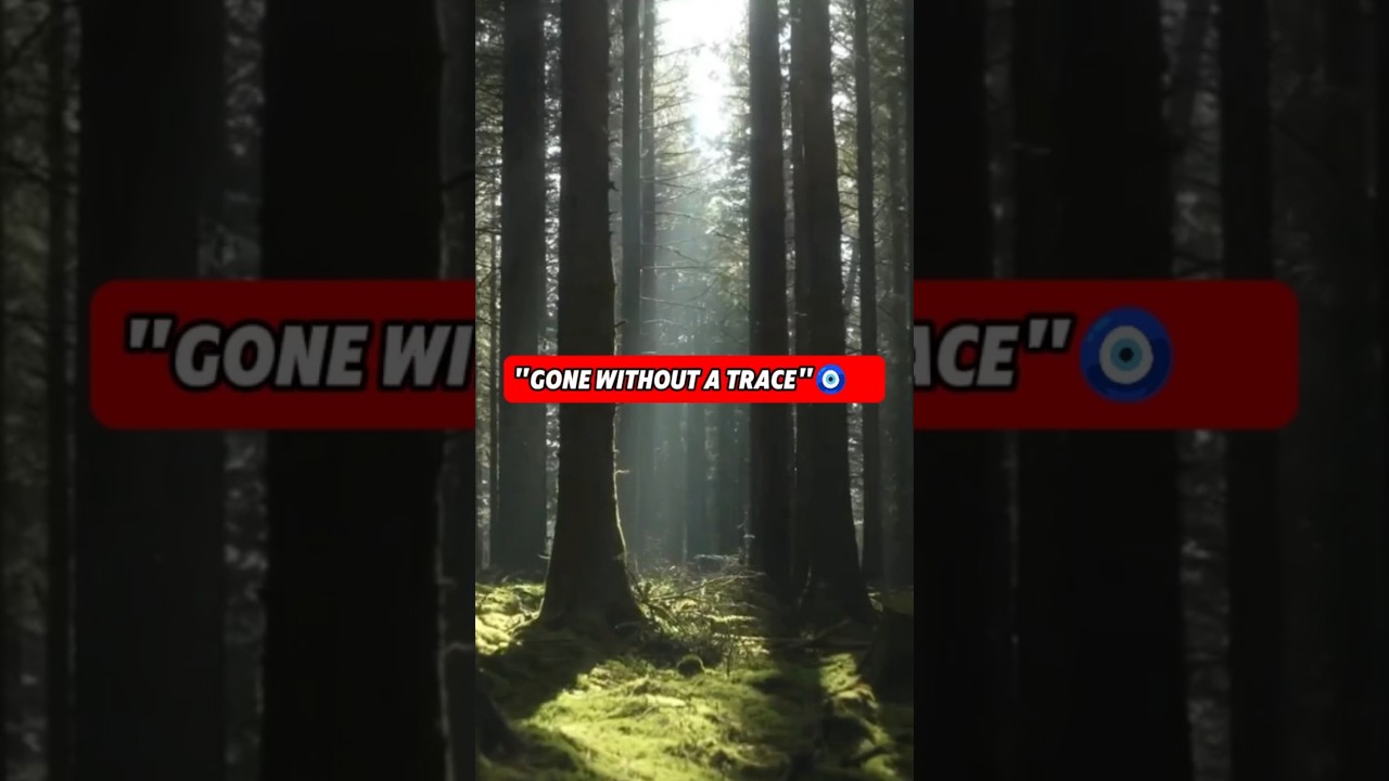 The Vanishing Mystery 