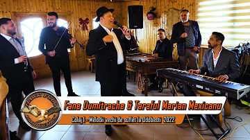 Taraful Marian Mexicanu & Fane Dumitrache - Colaj 1 Melodii vechi de suflet la Odobesti 2022