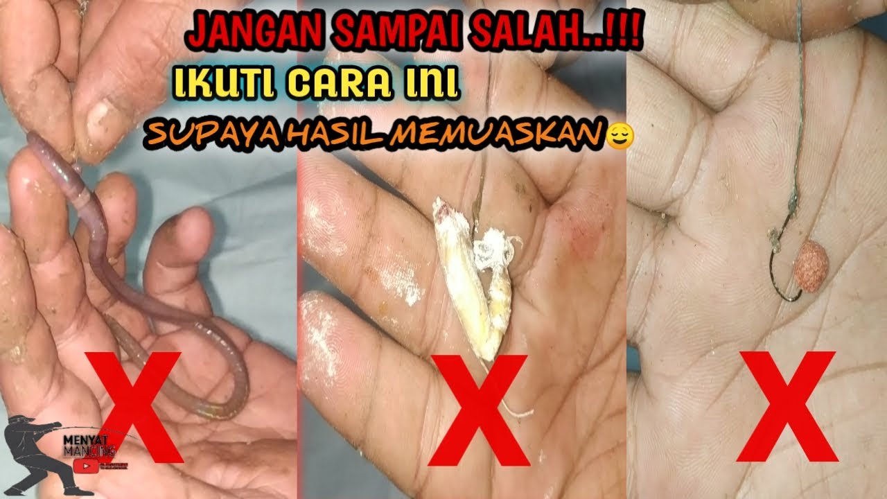 🔴SILAHKAN DICOBA..!!!CARA PASANG UMPAN IKAN BAWAL YANG BENAR