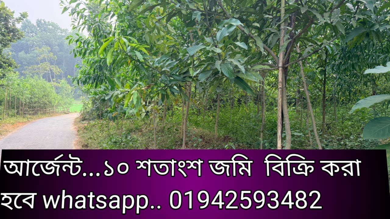 আর্জেন্ট.. ১০ শতাংশ জমি বিক্রি করা হবে what’s up..01942593482 - YouTube