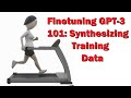 Finetuning gpt3 101 synthesizing training data